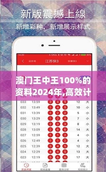 2024澳门王中王100%期期中-精选解释解析落实