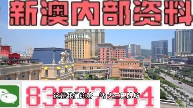 2024新澳精准正版资料-精选解释解析落实