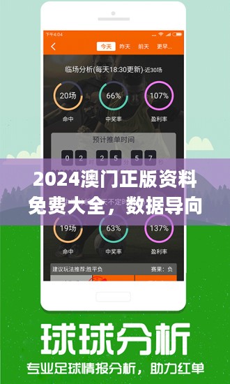 2024澳门正版免费精准大全-精选解释解析落实