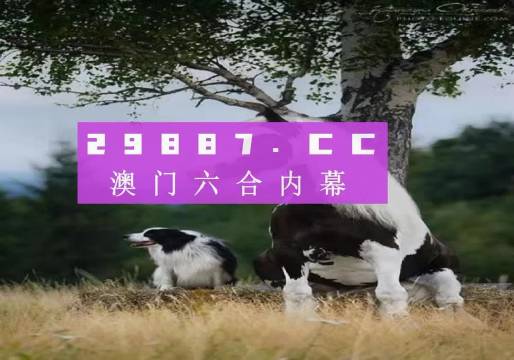 澳门今晚开特马四不像图-精选解释解析落实