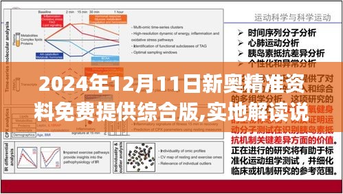 2024新奥资料免费精准175-精选解释解析落实