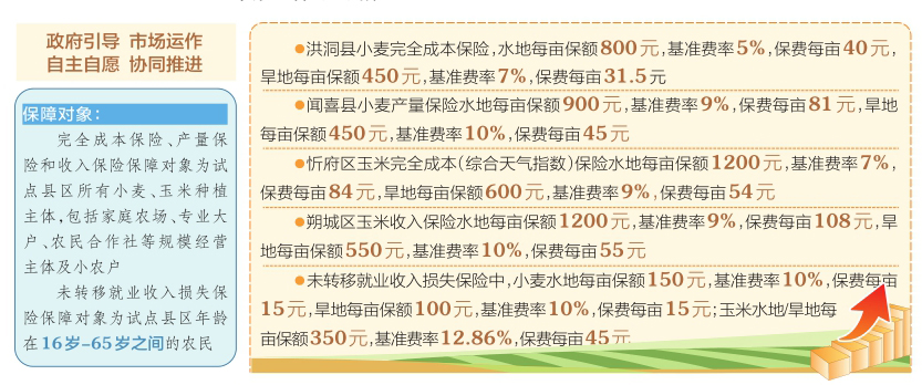 刘伯温四码八肖八码凤凰视频-精选解释解析落实