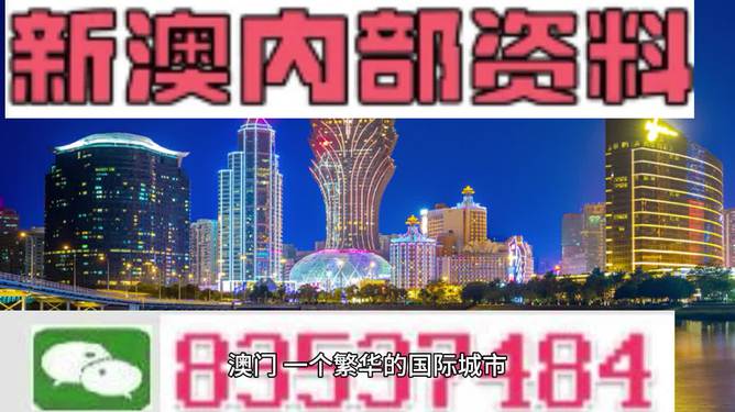 2024新澳六叔最精准资料-精选解释解析落实